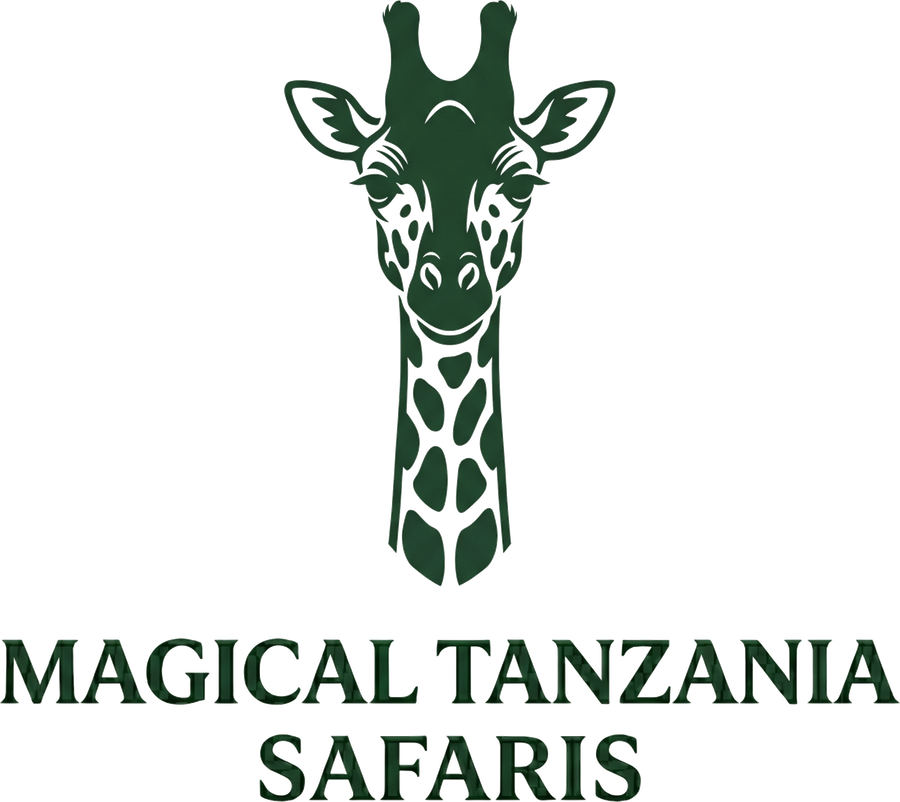 Magical Tanzania Safaris