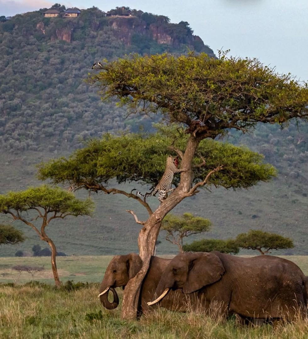 Best Time to Visit Tanzania